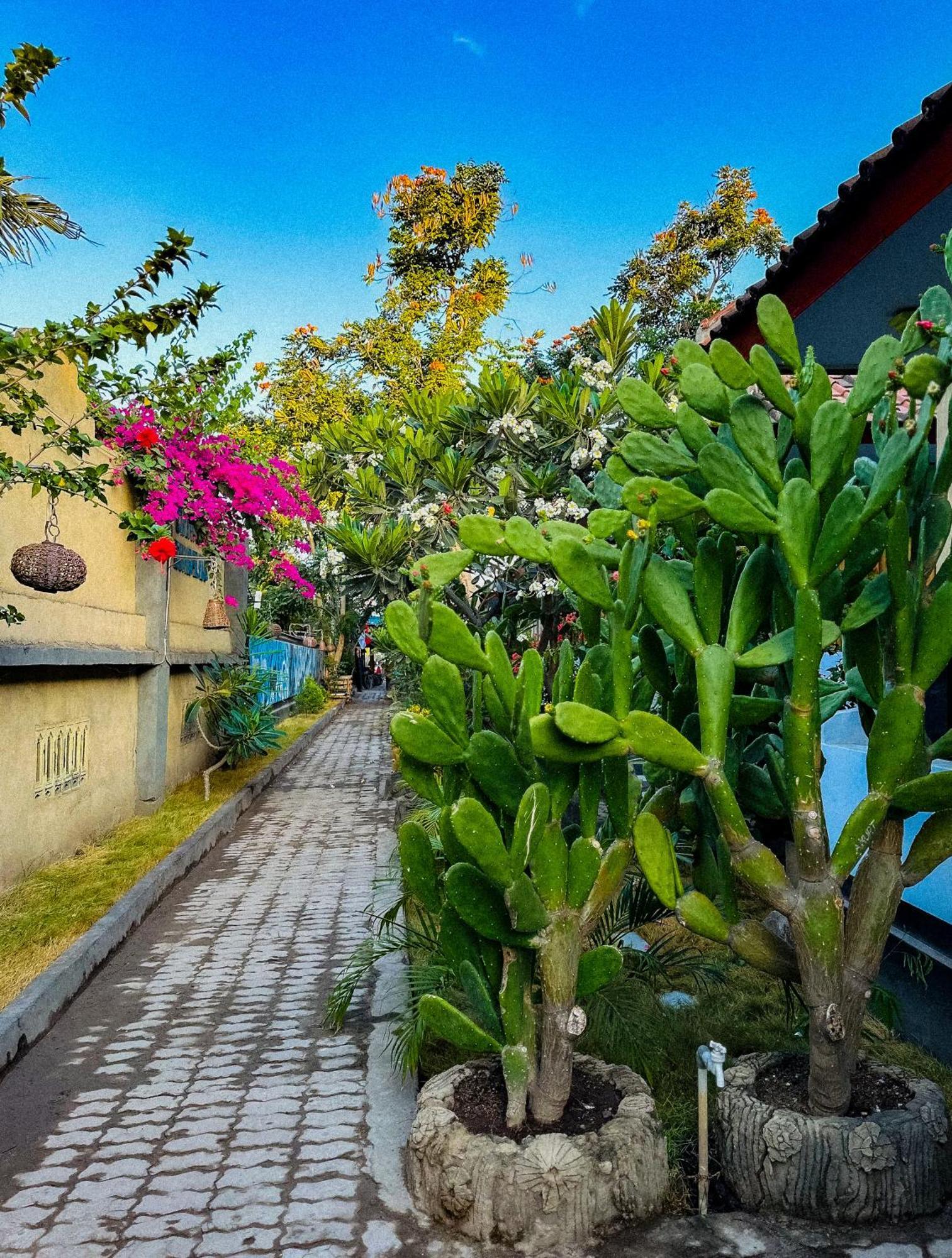 Creative Bungalow Beach Front Gili Trawangan Luaran gambar